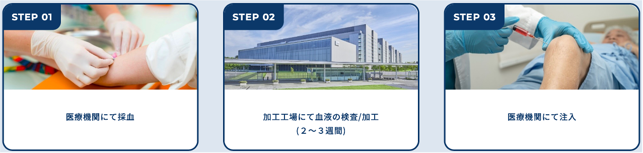 PDF-FD®療法 治療の流れ
